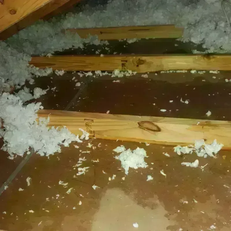 Attic Water Damage in Galena, IN