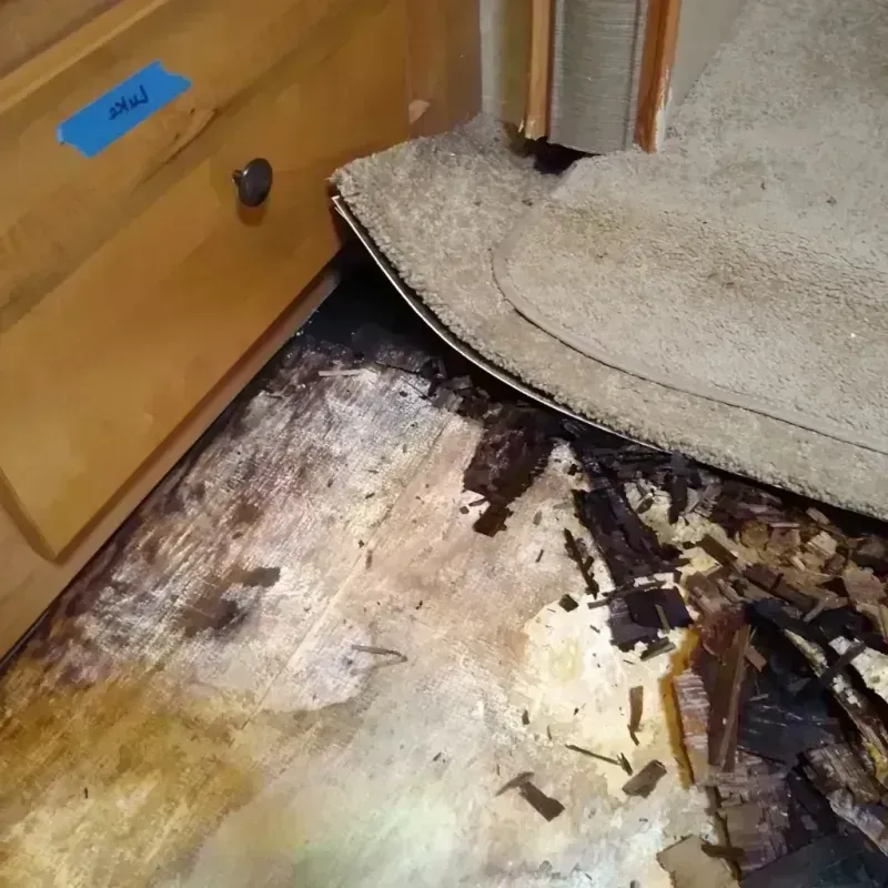 Best Wood Floor Water Damage Service in Galena, IN